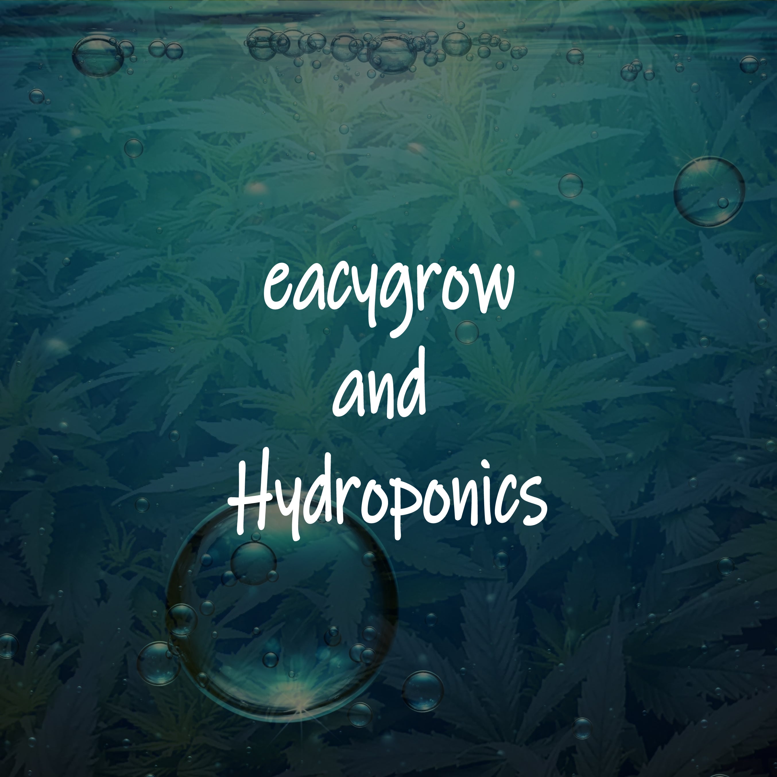 Some Hints Part 1: eacygrow and Hydroponic