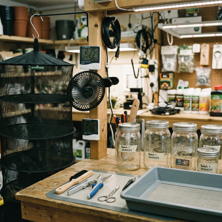 Trocknen | Trimmen | Curen