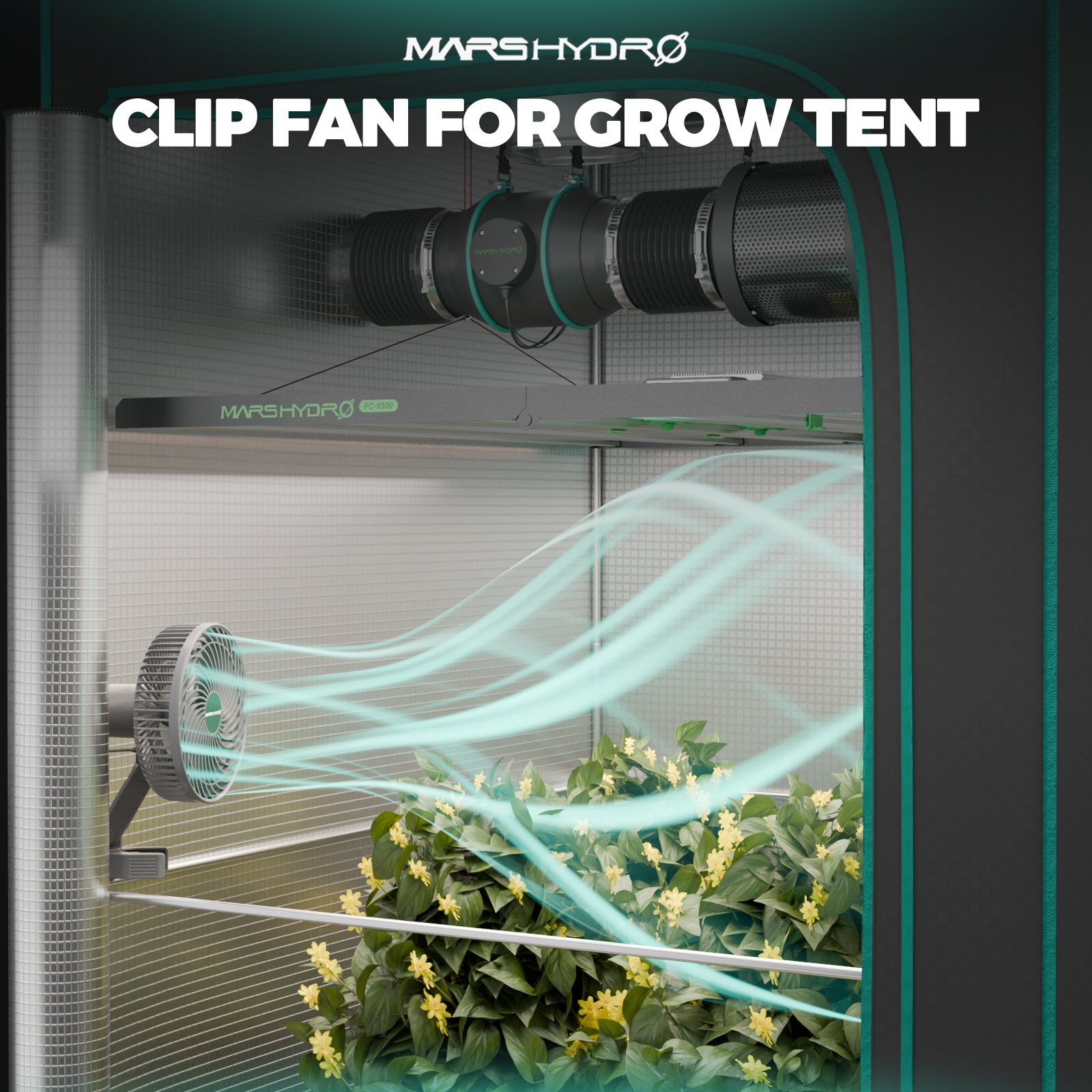 Mars Hydro FC3000 Complete Set | 100x100x180cm Grow Tent