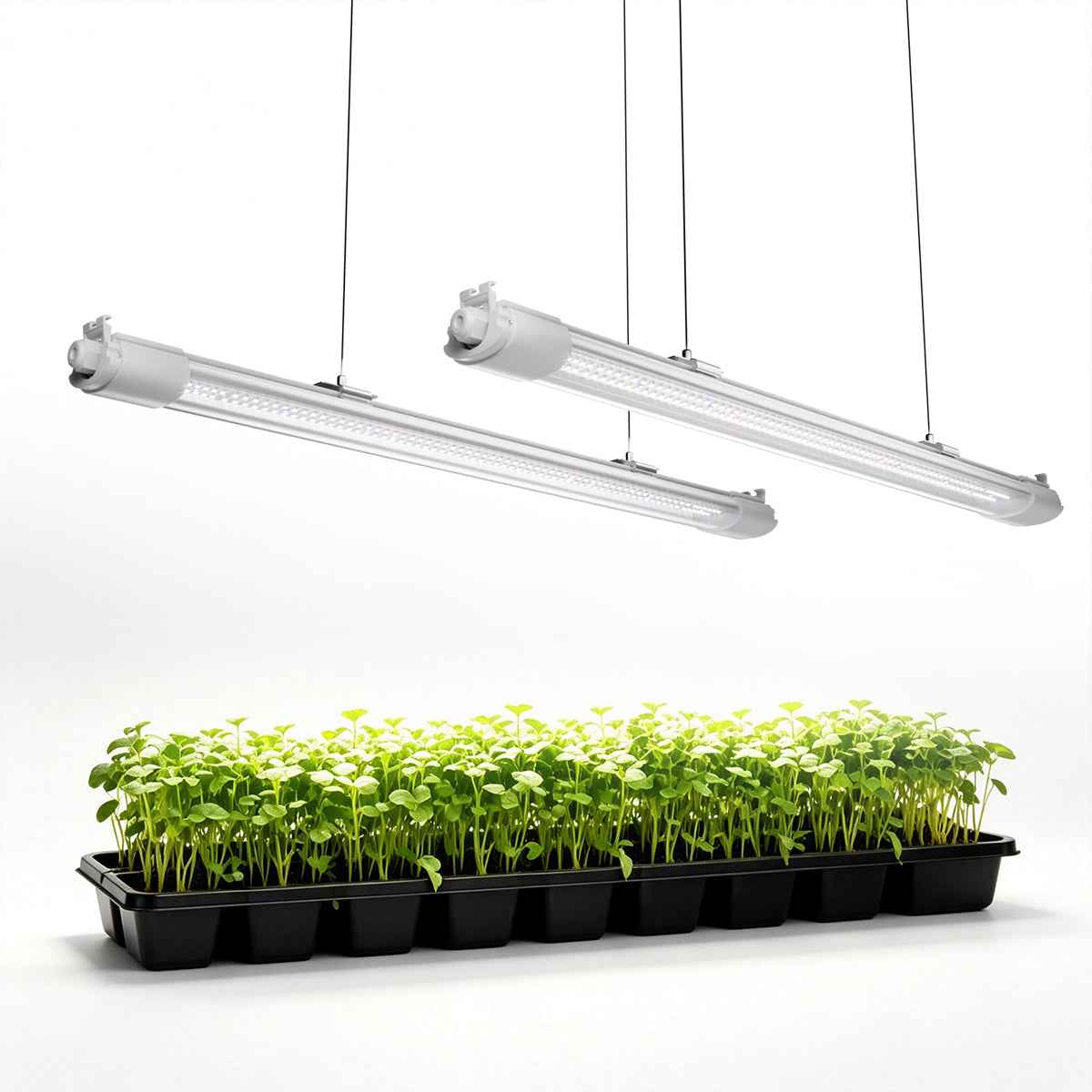 Mars Hydro VG40 LED | 40W