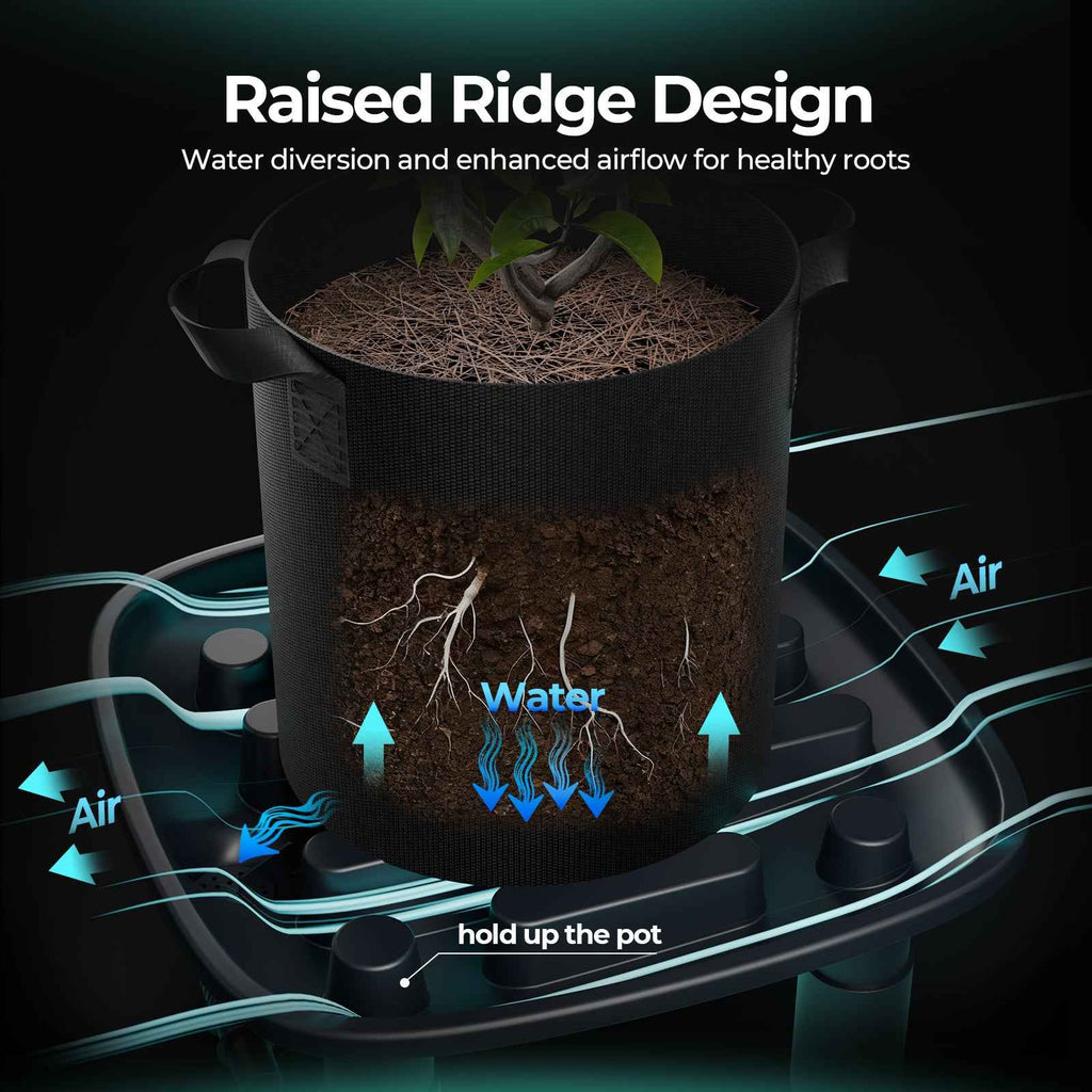 Drainage Trays | 2-Pack