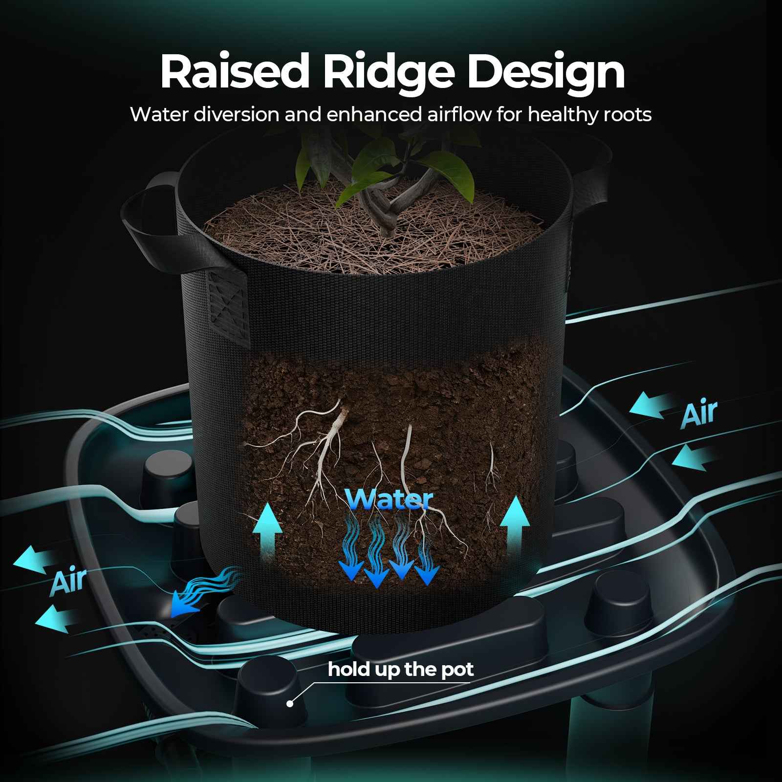 Drainage Trays | 2-Pack