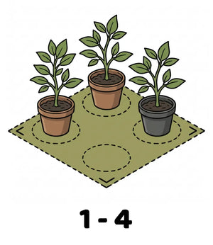Info Icon