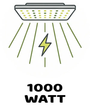 Info Icon