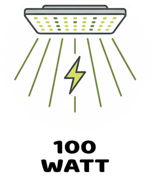 Info Icon