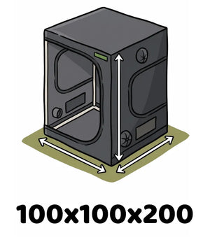 Info Icon