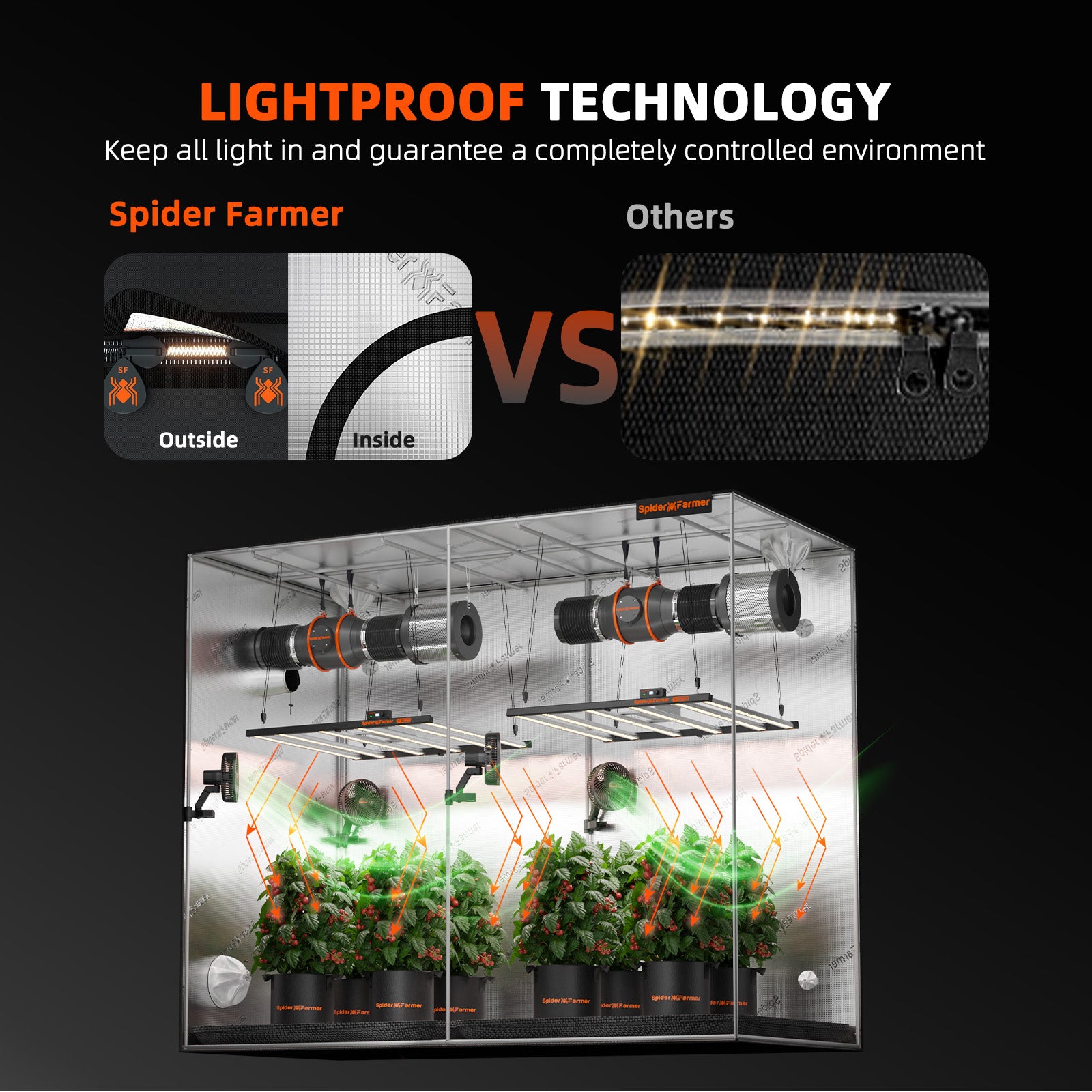 Anwendungsbeispiel: Voll ausgestattetes Spider Farmer 240x120 cm Zelt mit zwei installierten LED-Systemen für flächendeckendes Lich