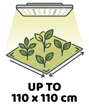 Info Icon