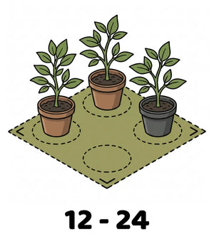 Info Icon