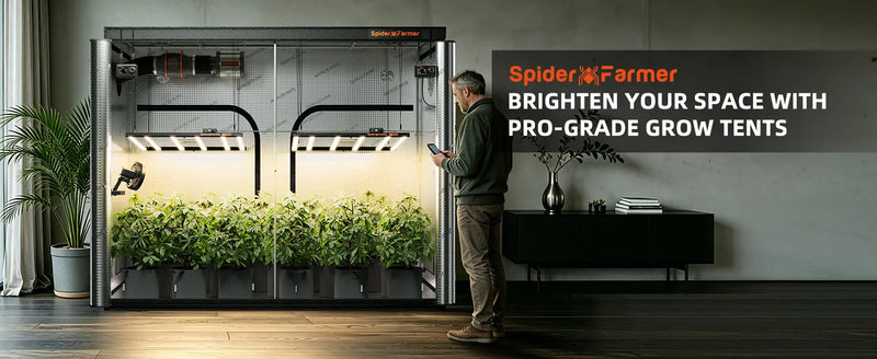 Spider Farmer 240x120x200cm Growzelt | 1680D Oxford