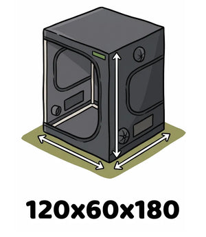 Info Icon