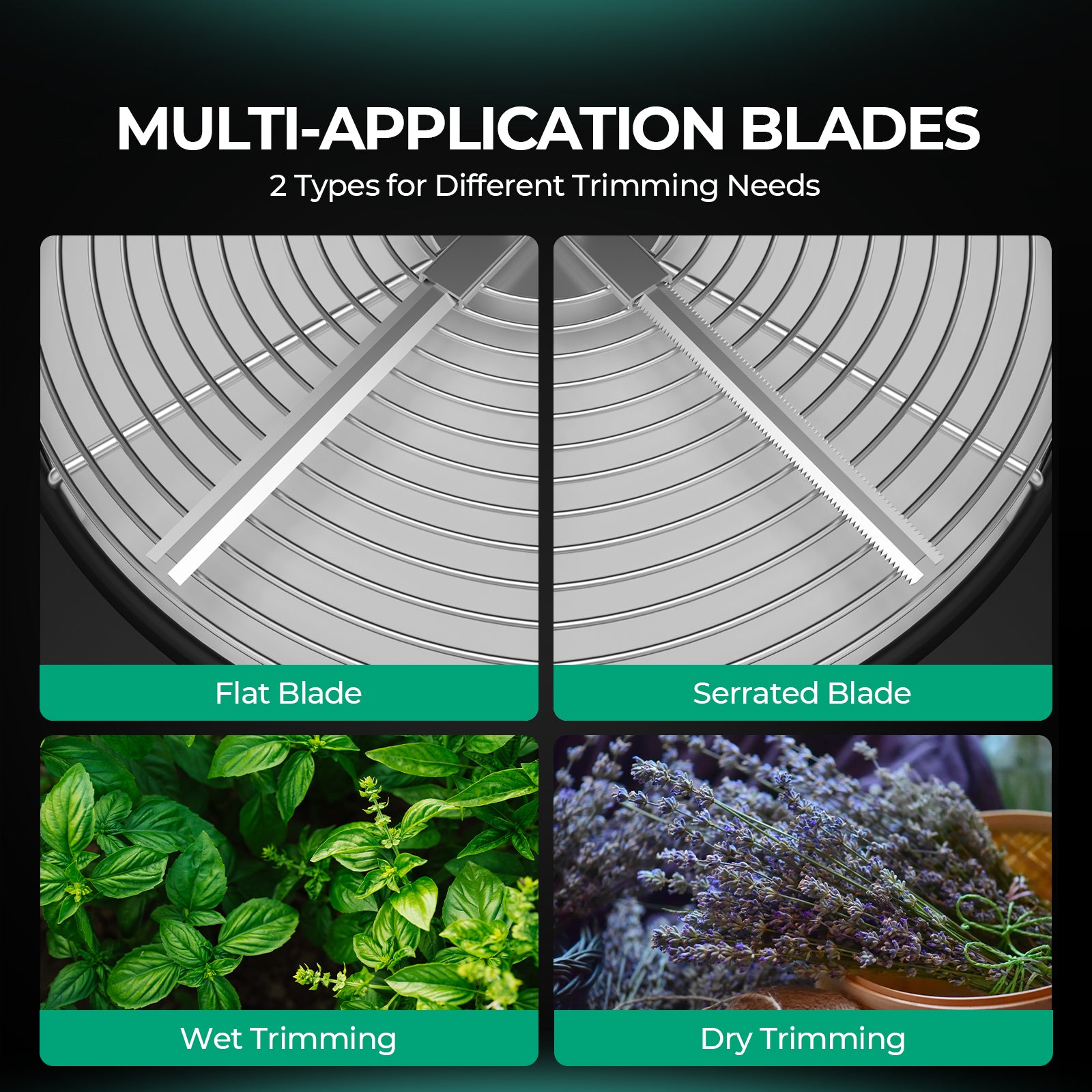 Set aus gezahnten, flachen und Kreuzklingen für Nass- und Trockenernte.