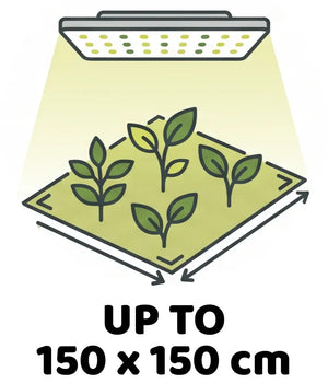 Info Icon