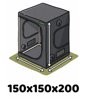 Info Icon