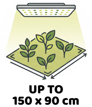 Info Icon