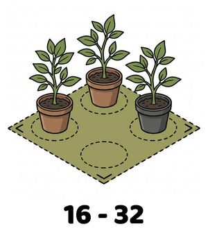 Info Icon