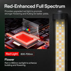 Vivosun LumaRay LED - Rotverstärktes Vollspektrum 100W