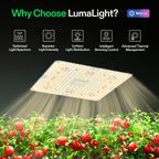 Vivosun LumaLight LED - 150W