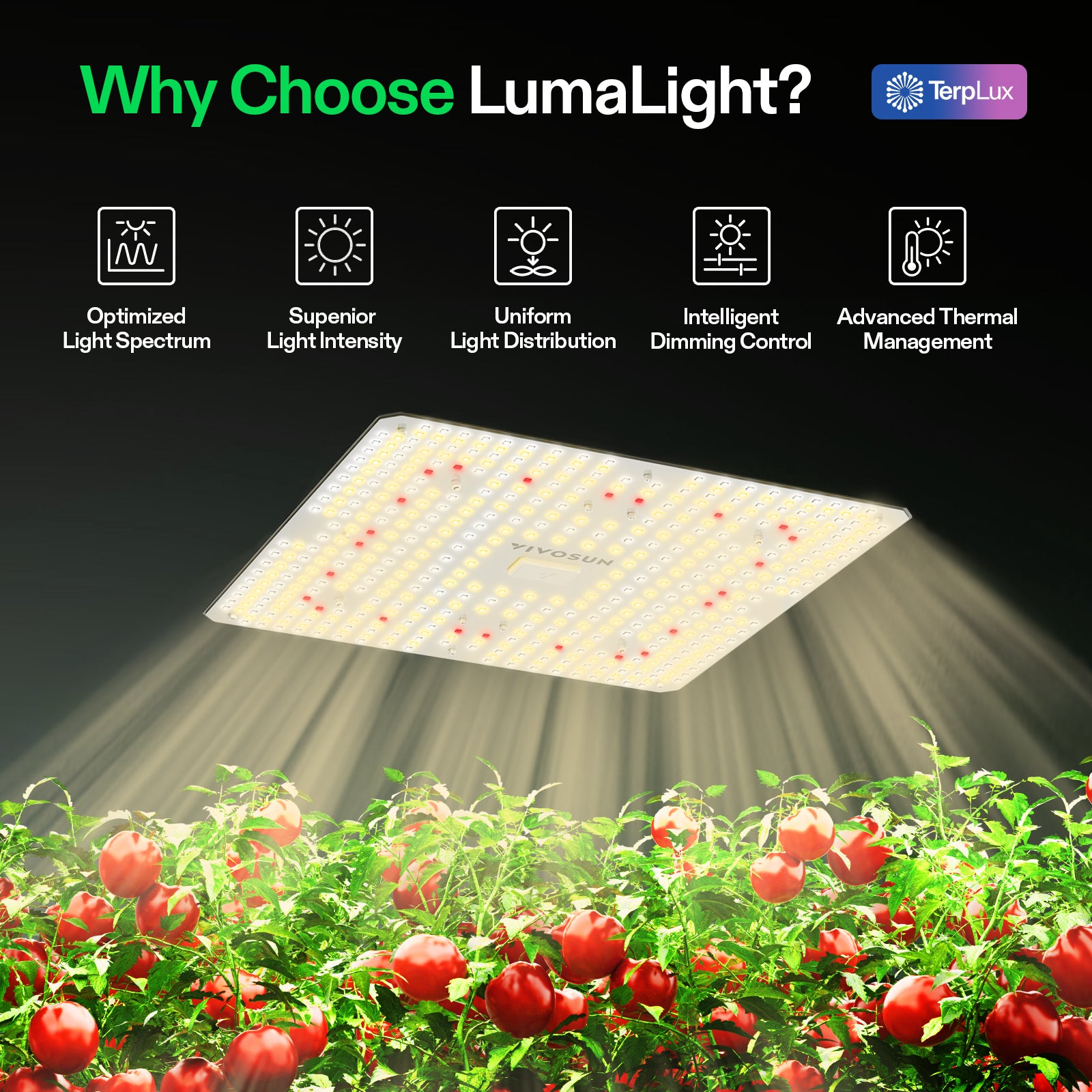 Vivosun LumaLight LED - 150W