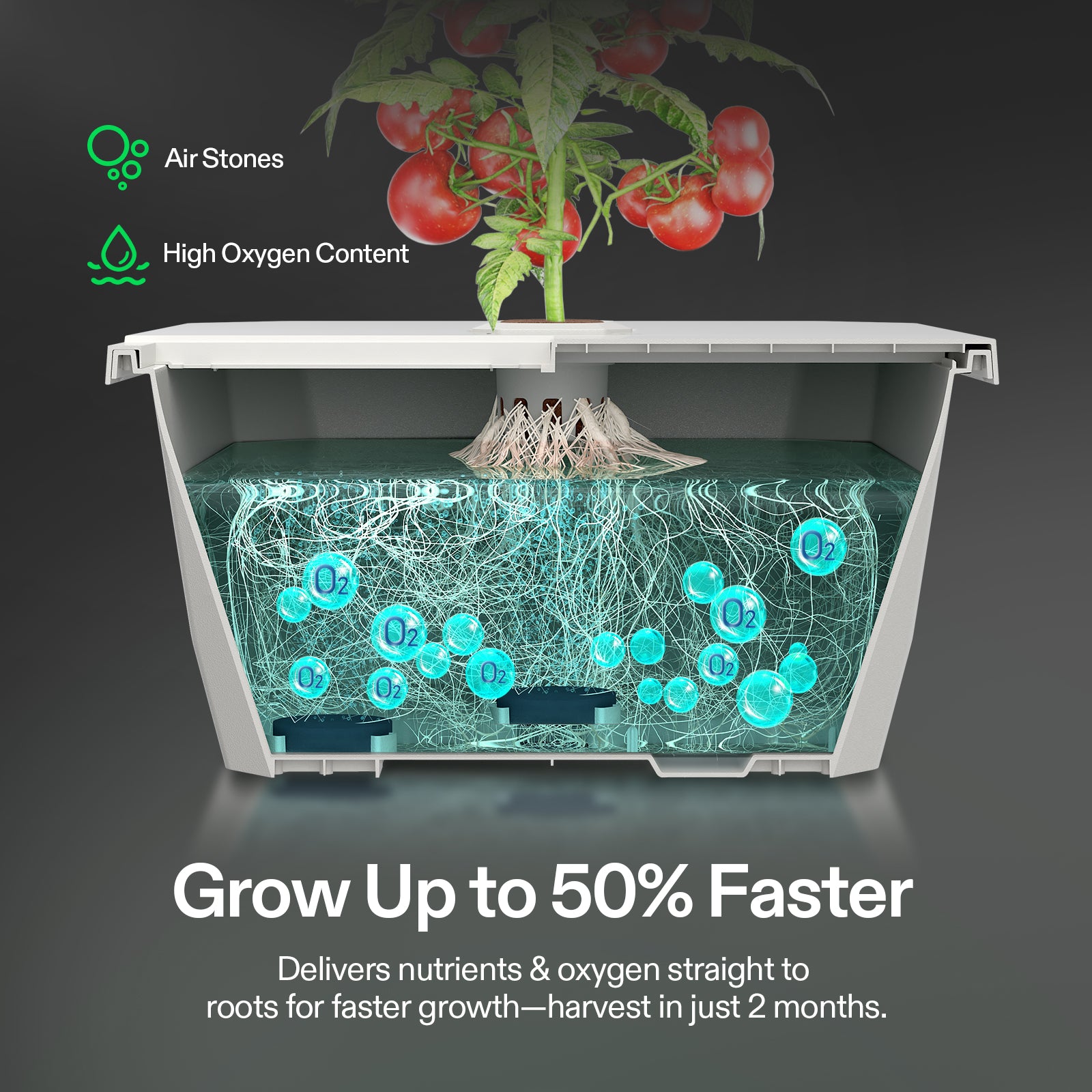 Vivosun VGrow - DWC Hydroponik-Set 15L