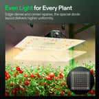 Vivosun LumaLight LED - 150W
