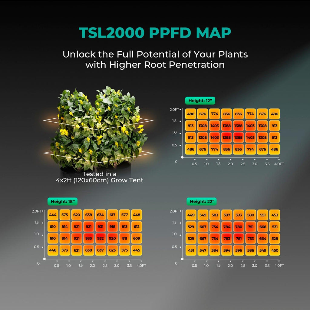 Ausleuchtungs-Grafik PPFD Werte der Mars Hydro TSL 2000 für 120x60 cm