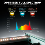 Mars Hydro FC-3000 LED | 320W
