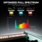 Mars Hydro FC3000 Smart Komplettset Pro | 100x100x180cm Growzelt