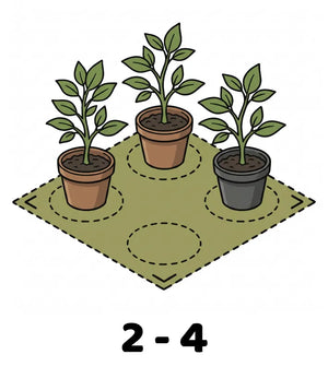 Info Icon