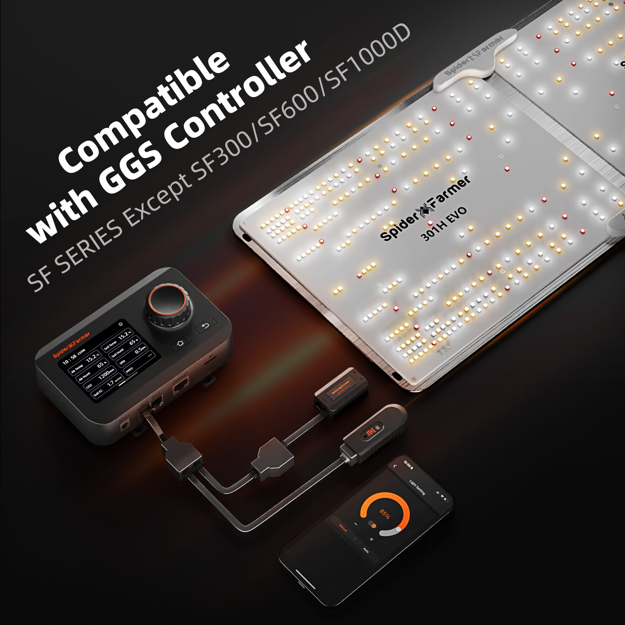 Verbindung der SF1000 mit einem GGS Smart System Controller.