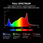 Full spectrum light chart showing blue, green, red, and far-red wavelengths from 400 to 800 nanometers