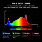 Spider Farmer G3000 Smart AC5 Complete Kit | 90x90x180 Grow Tent