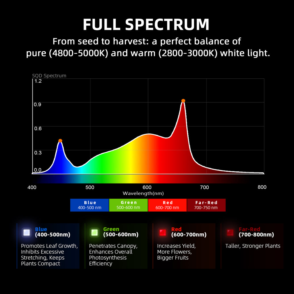 Vollspektrum-Lichtgrafik der G4500 mit 660nm Rotlichtanteil