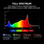 Vollspektrum-Lichtgrafik der G4500 mit 660nm Rotlichtanteil