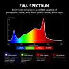 G5000-Spektrum-Grafik-maximale-Photosynthese-Effizienz.