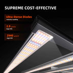 Spider Farmer G1000W Smart LED | 1000W