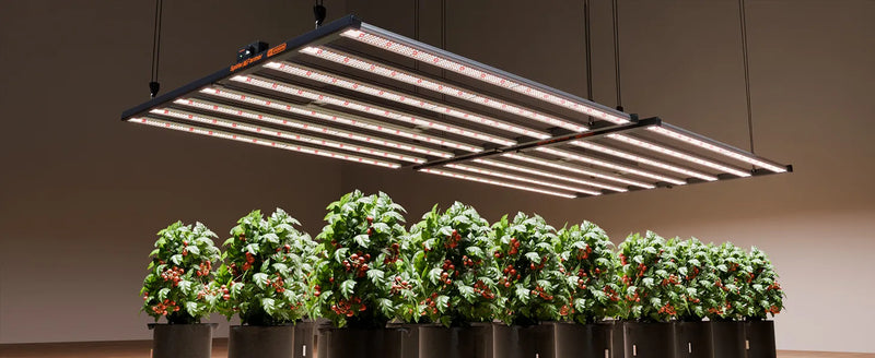 Spider Farmer G1000W Smart LED | 1000W