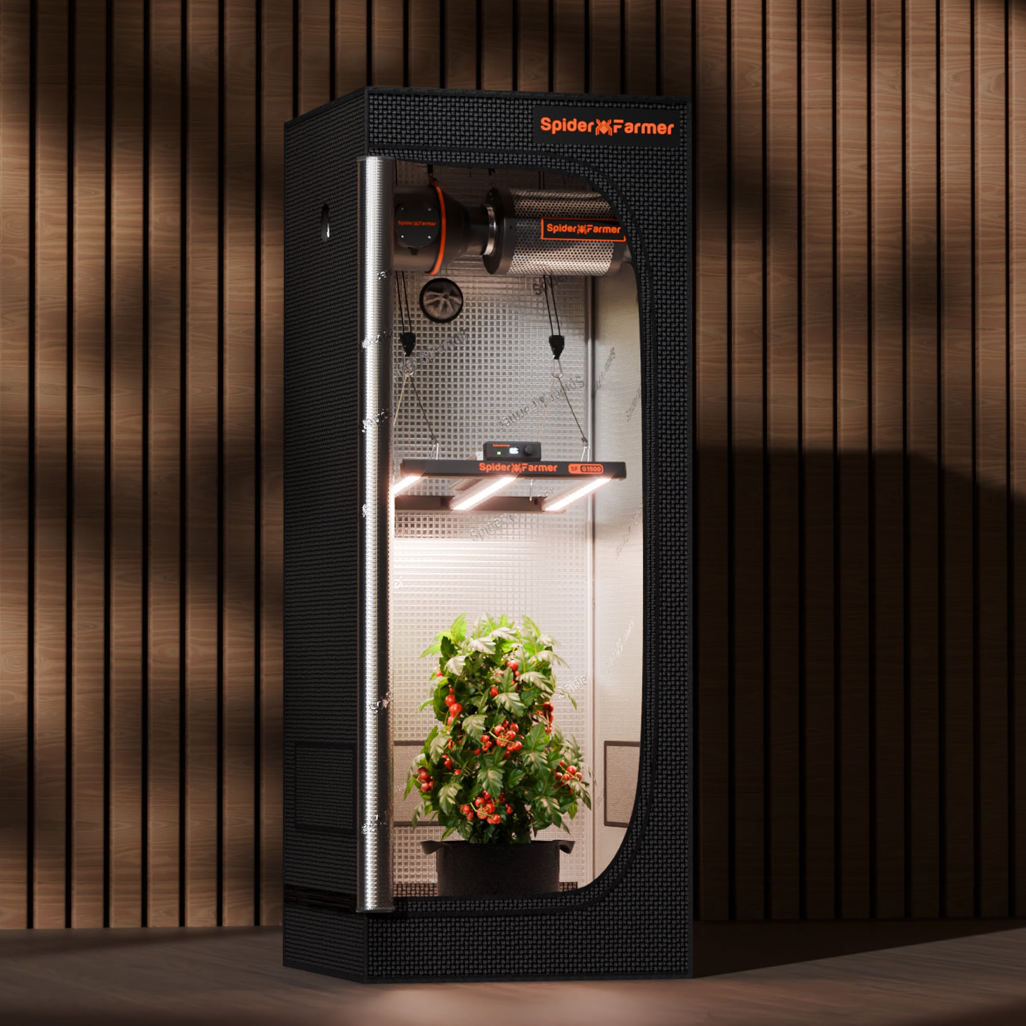 Spider Farmer G1500 LED Grow Light in einem 60x60cm Growzelt