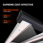 Unteres Profil der G4500 zeigt die hohe Dichte der Bridgelux LEDs