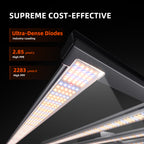 Energieeffizienz-Daten-PPE-2-85-Spider-Farmer-G8600.