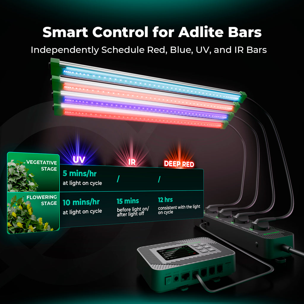 Synchronisierte Lichtsteuerung mit ADlite und iHub-4AC – Ermöglicht die automatisierte Kopplung von Zusatzbeleuchtung und Klimageräten für ein optimiertes Pflanzenwachstum.