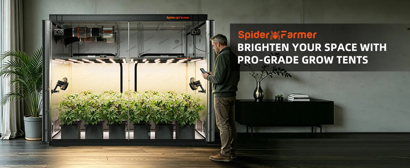 Spider Farmer 300x150x200cm Growzelt | 1680D Oxford
