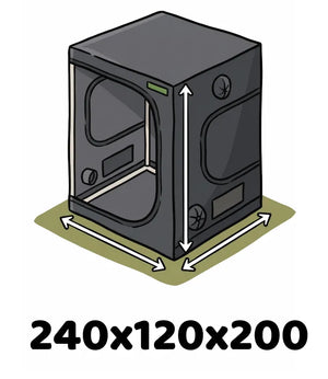 Info Icon