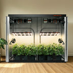 Spider Farmer 240x120x200cm Growzelt | 1680D Oxford-Growzelt-eacygrow-Spider Farmer