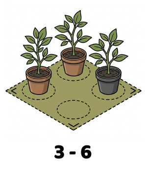 Info Icon