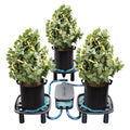 Mars Hydro Auto-Drainage System 3-Pack zur automatischen Entwässerung im Grow-Zelt.