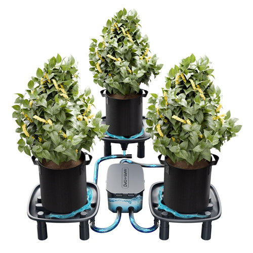 Mars Hydro Auto-Drainage System 3-Pack zur automatischen Entwässerung im Grow-Zelt.