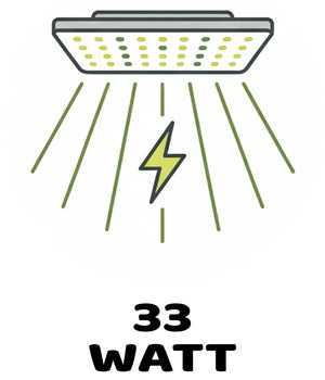 Info Icon