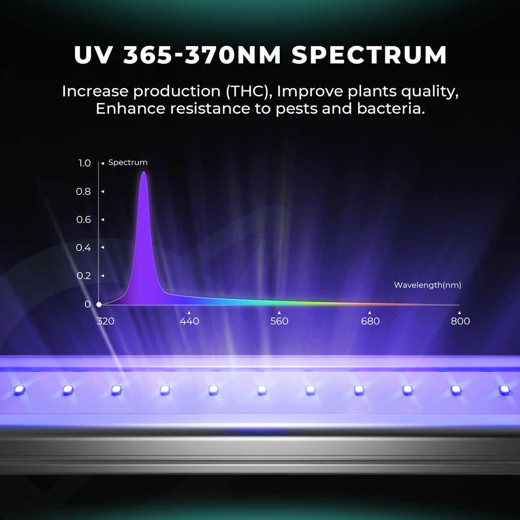Detailaufnahme der UV Dioden 365-370nm auf der Mars Hydro ADlite