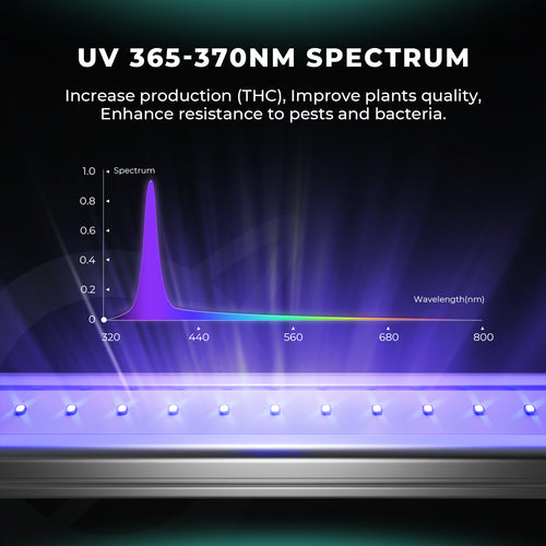 Detailaufnahme der UV Dioden 365-370nm auf der Mars Hydro ADlite